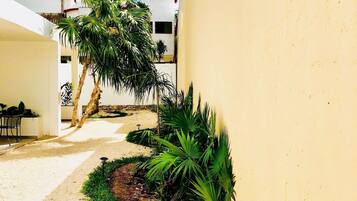 Terrein van de accommodatie