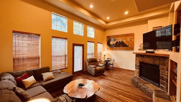 Een televisie, een open haard, een dvd-speler en een filmbibliotheek