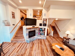 Télévision, cheminée, lecteur de DVD, vidéothèque