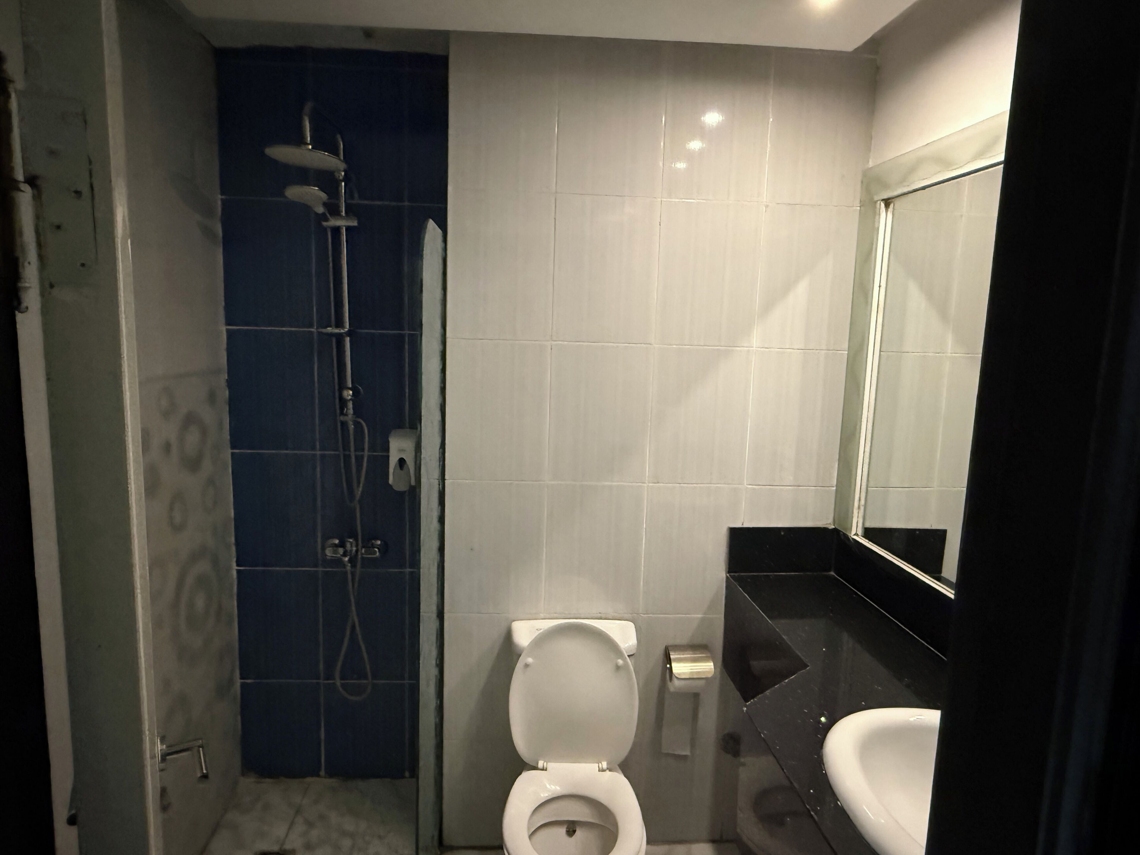 A modern bathroom with a shower, toilet, and sink.