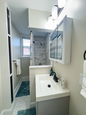 Combined shower/bathtub, hair dryer, towels - ½ mile to Longwood Medical, Renovated, Pub Trans (Brookline)