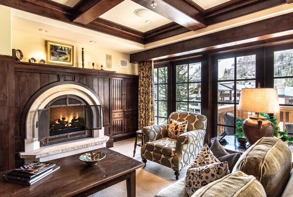 TV, fireplace, video games, books