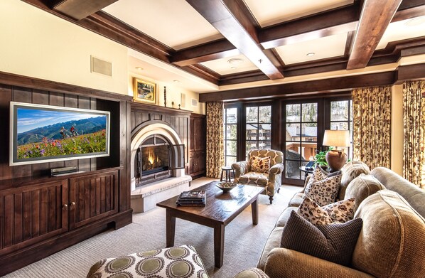 TV, fireplace, video games, books