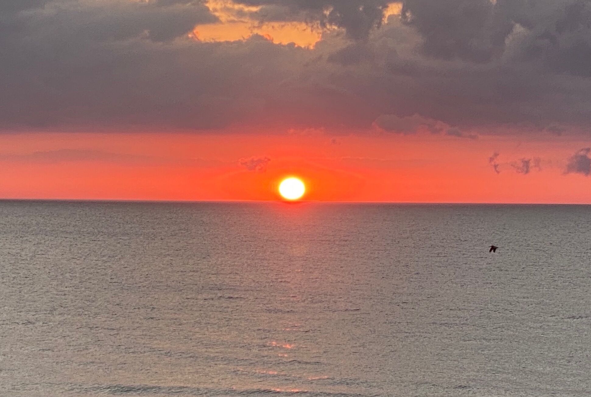 Een zonsondergang boven een rustige zee, met een silhouet van een vliegende vogel.