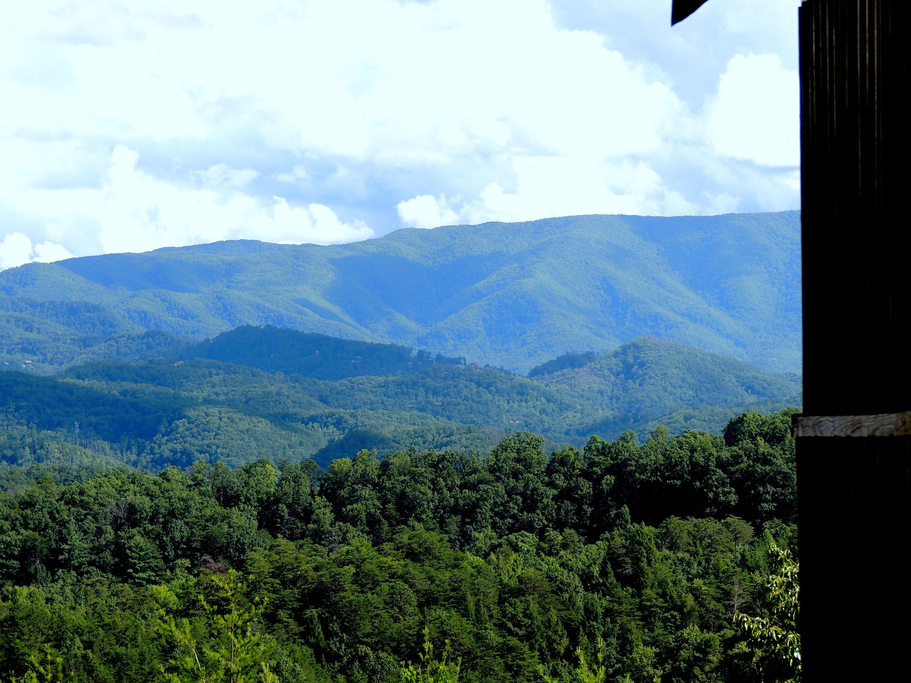 Eine gebirgige Landschaft mit dichtem Wald.