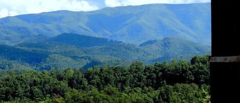 Eine gebirgige Landschaft mit dichtem Wald.