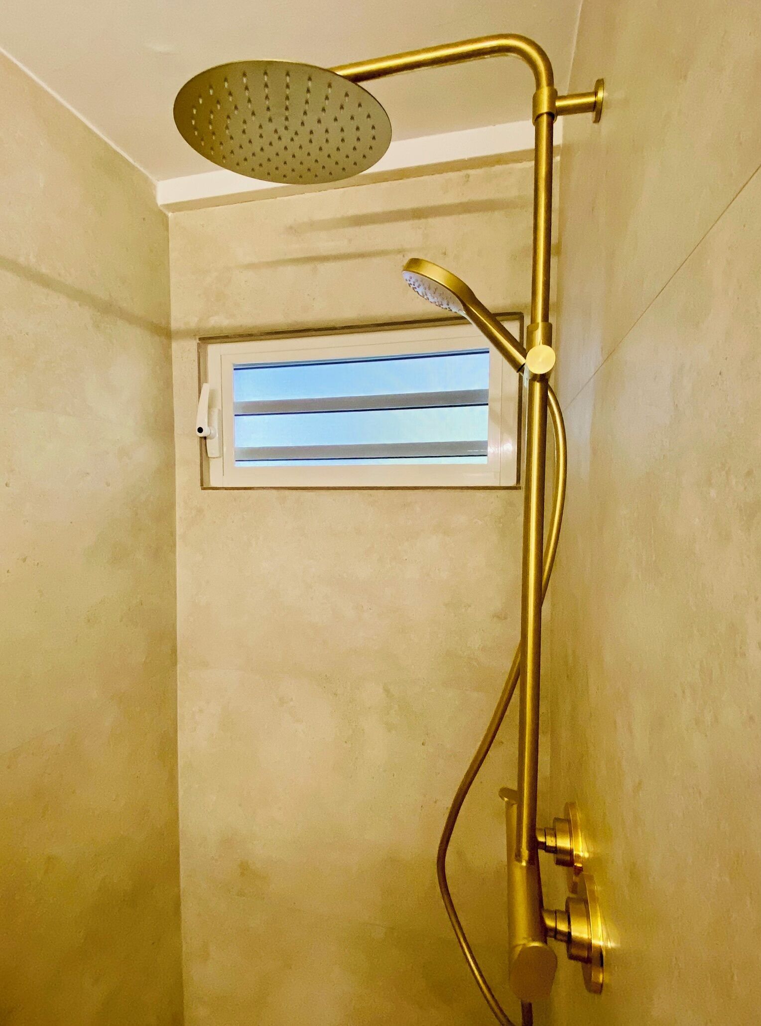 Ducha con cabezal de ducha de mano y cabezal fijo, ventana y panel de control en la pared.