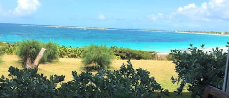 A view from a balcony overlooking a beach with clear blue water and a grassy area with shrubs.