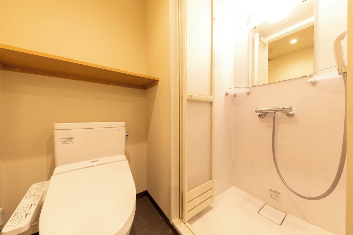 shower, free toiletries, hair dryer, slippers