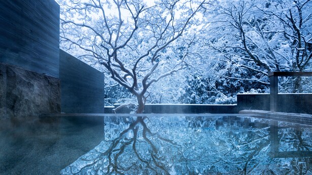 A serene indoor pool with a clear reflection of snow-covered trees, surrounded by concrete walls. - Hoshino Resorts KAI Sengokuhara (Hakone)
