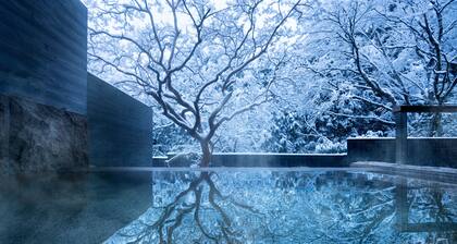 Hoshino Resorts KAI Sengokuhara