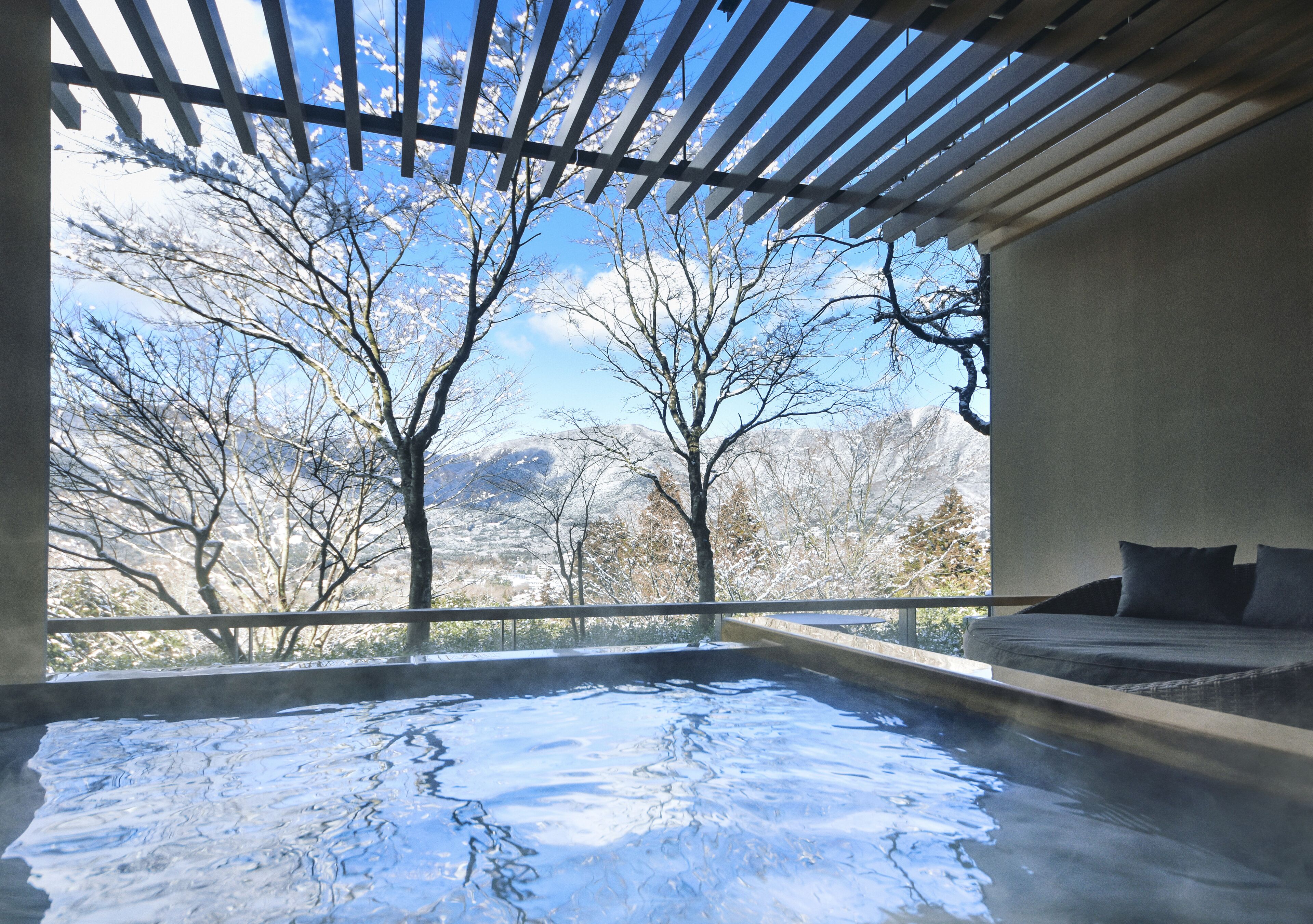 A hot tub with a view of snow-covered trees and mountains.