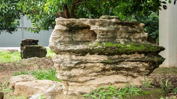 庭園