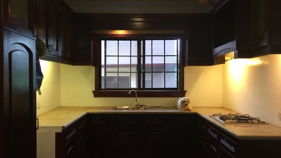 Spinning Cat Hostel - Adults Only