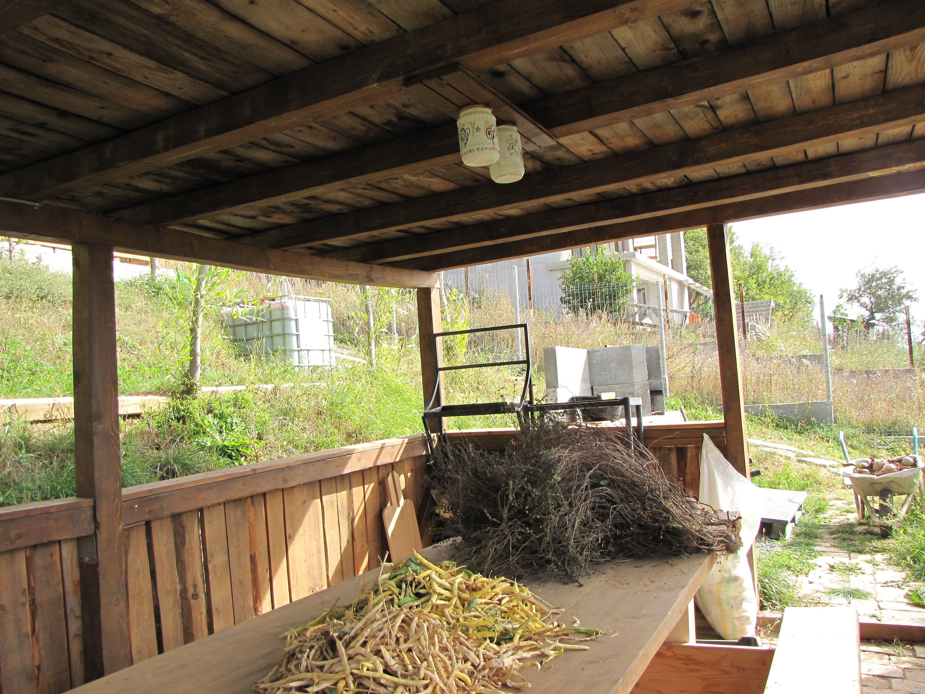 A covered outdoor area with a wooden bench, a table with bean sprouts, and a pile of branches.