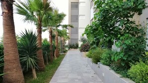 Un sentier bordé de palmiers et agrémenté de diverses plantes, qui mène à un bâtiment au design moderne.