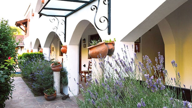 A courtyard with a white building, terracotta pots, and lavender plants. - Posada San Bras (Villa General Belgrano)