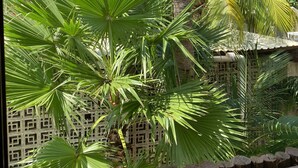 A tropical garden with palm trees and a thatched roof structure. - Hotel Pelecanus Suites (Isla Holbox)