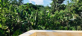 Larosa Hostel Chambres d'hôtes 