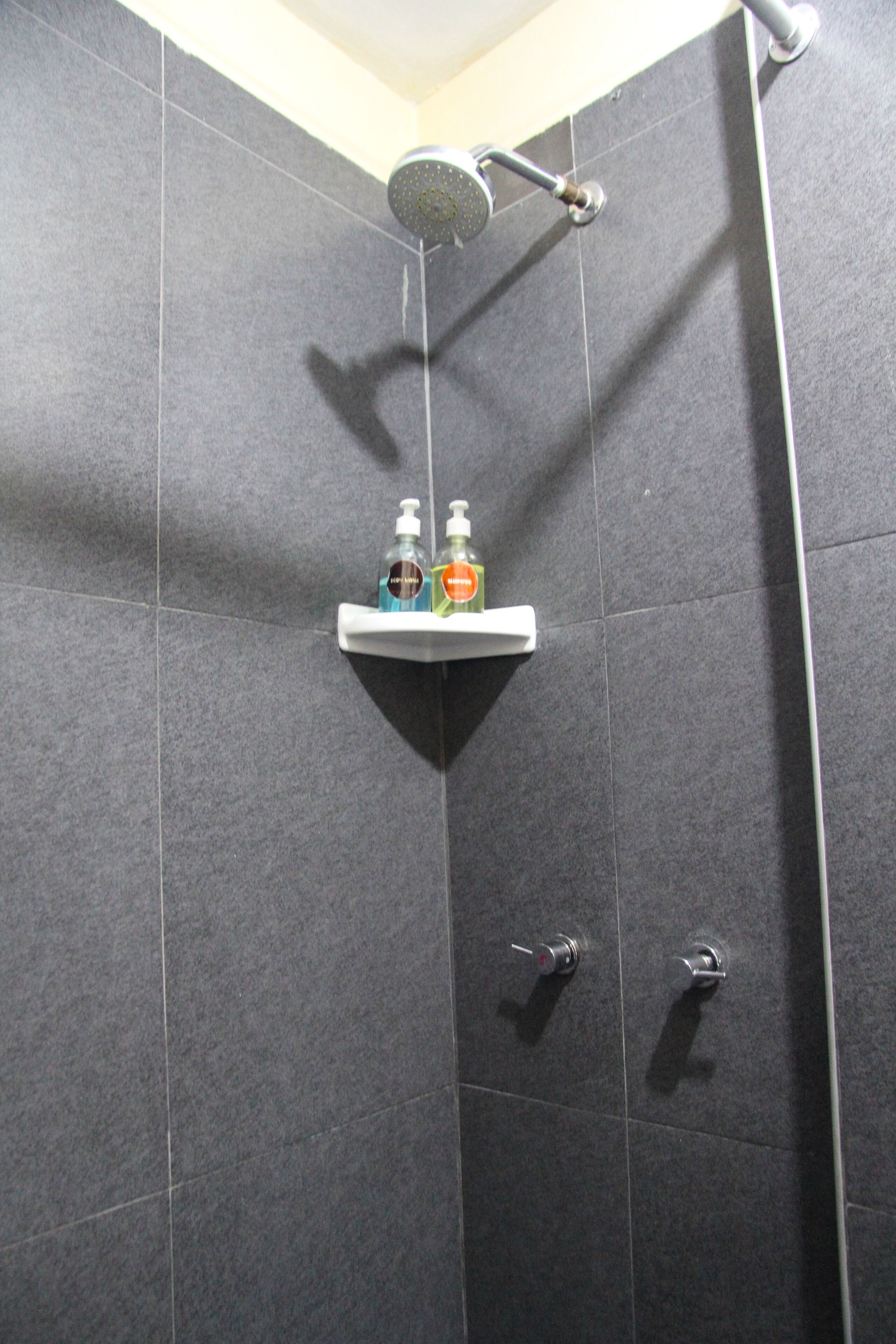 A shower area with dark tiles, a handheld showerhead, and a shelf with two bottles.