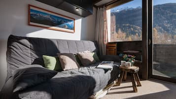 Flat-screen TV, DVD player