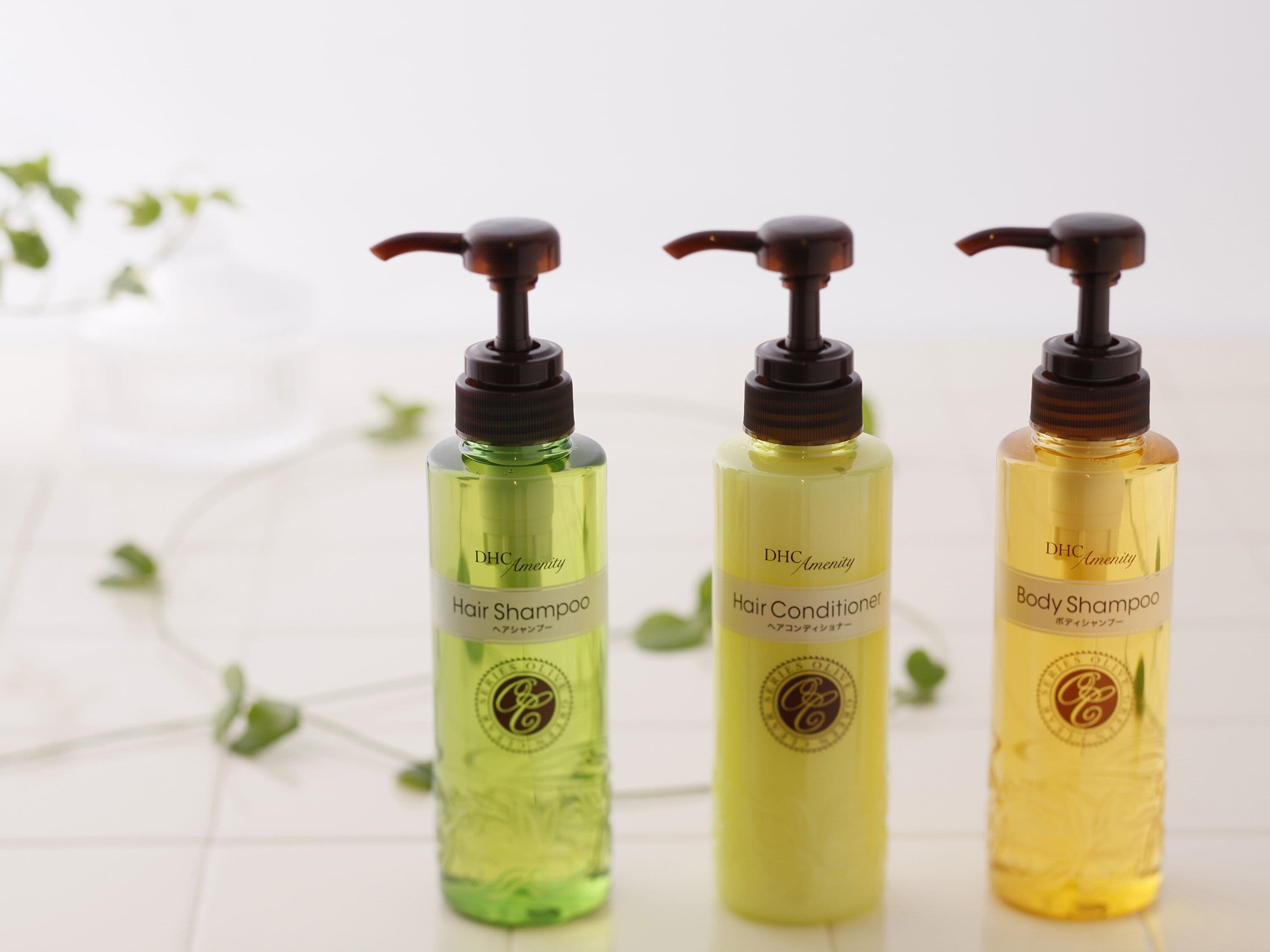 combined shower/bathtub, hair dryer, slippers, electronic bidet