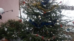 Un sapin de Noël recouvert de neige et décoré d’ornements, se dressant devant un bâtiment rose.