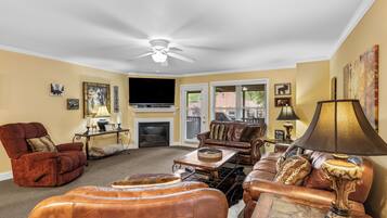 TV, fireplace, DVD player