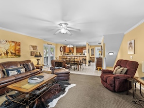 TV, fireplace, DVD player