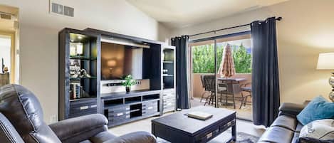 TV, DVD player, books, video library