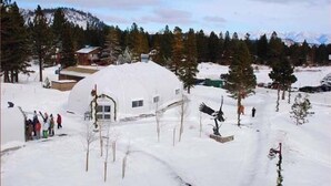 Eksteriør