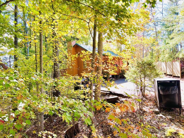 Una cabaña rodeada de un bosque denso, con una terraza de madera y un porche cubierto.