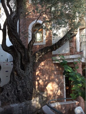 Traditional building with a tree-covered facade and arched windows.
