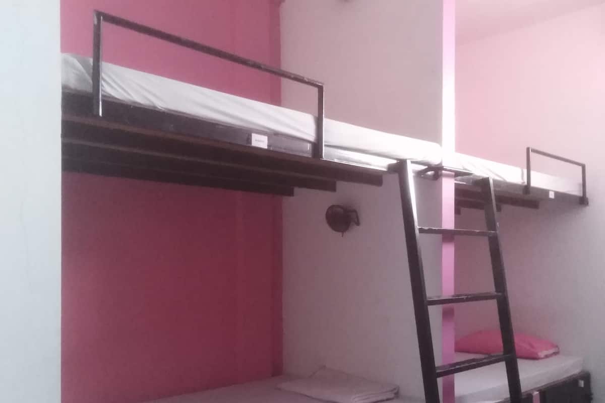 Bed in 8-Bed Mixed Dormitory | Desk, free WiFi
