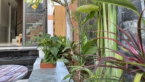 Un jardin intérieur moderne, avec différentes plantes, un banc en bois et un mur en pierre.