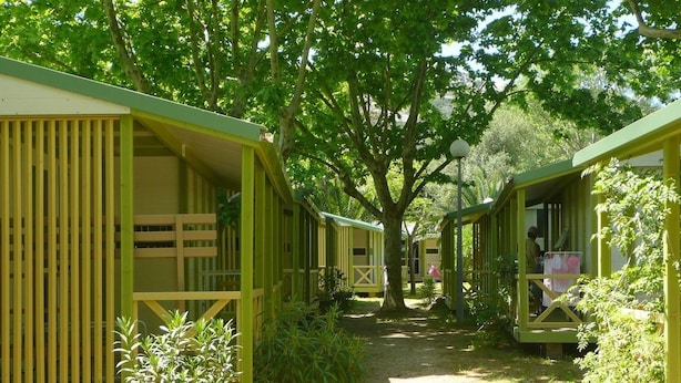 A row of green mobile homes with a dirt path between them, surrounded by trees. - Camping U Libecciu  - Vacances ULVF (Calvi)
