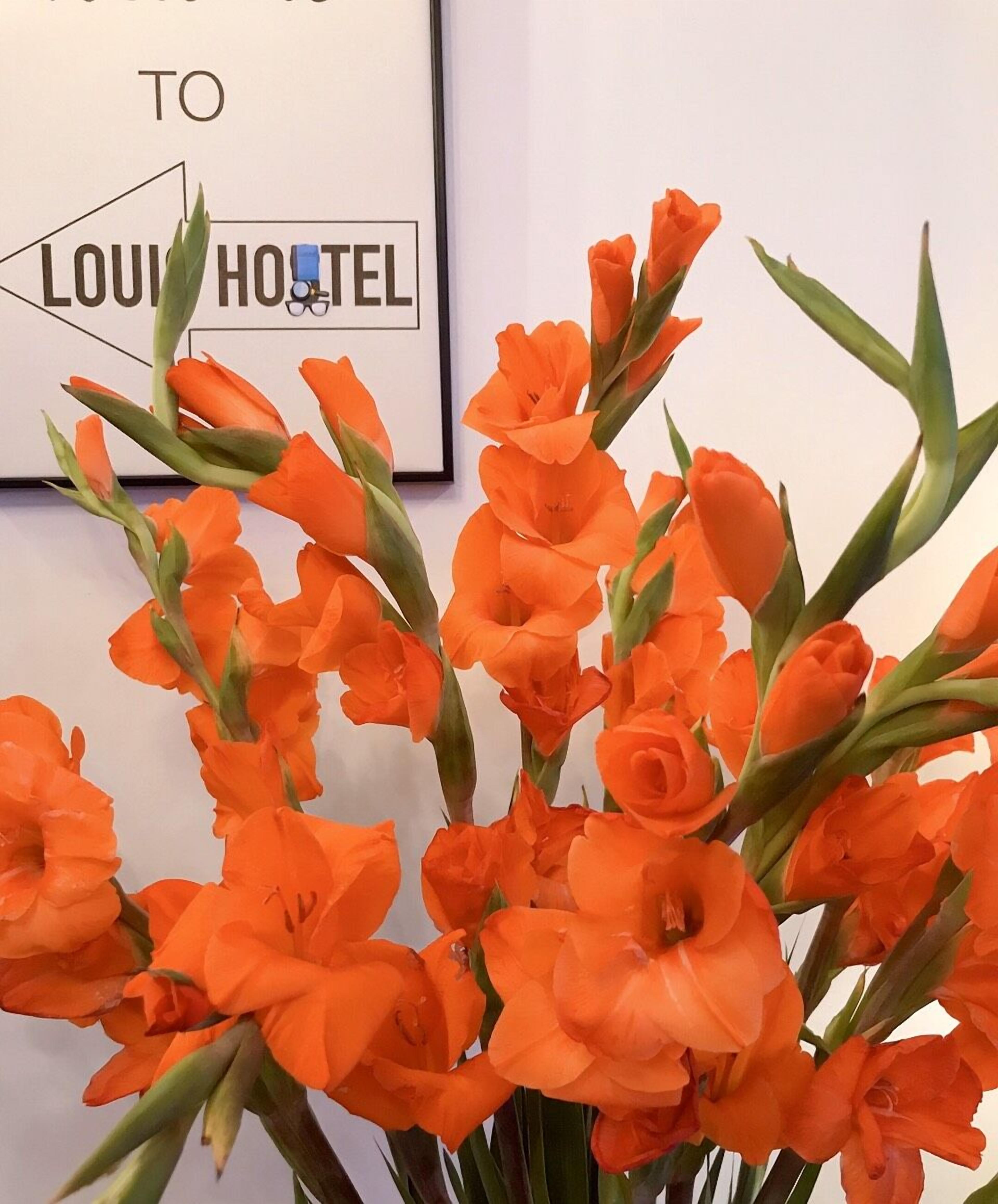 Un letrero en marco con el texto 'TO LOUIS HOSPITAL' y un ramo de flores naranjas.