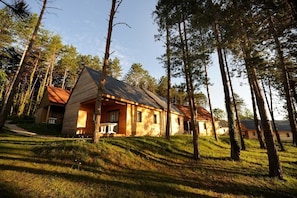 A cabin with a sloped roof, surrounded by tall pine trees. - Le Domaine de Pelvezy - Vacances ULVF (Saint-Genies)