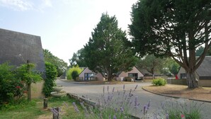 A residential area with houses, a paved road, and a garden with lavender plants. - Ty an Diaoul - Vacances ULVF (Sarzeau)