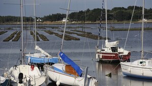 A marina with several sailboats docked. - Ty an Diaoul - Vacances ULVF (Sarzeau)