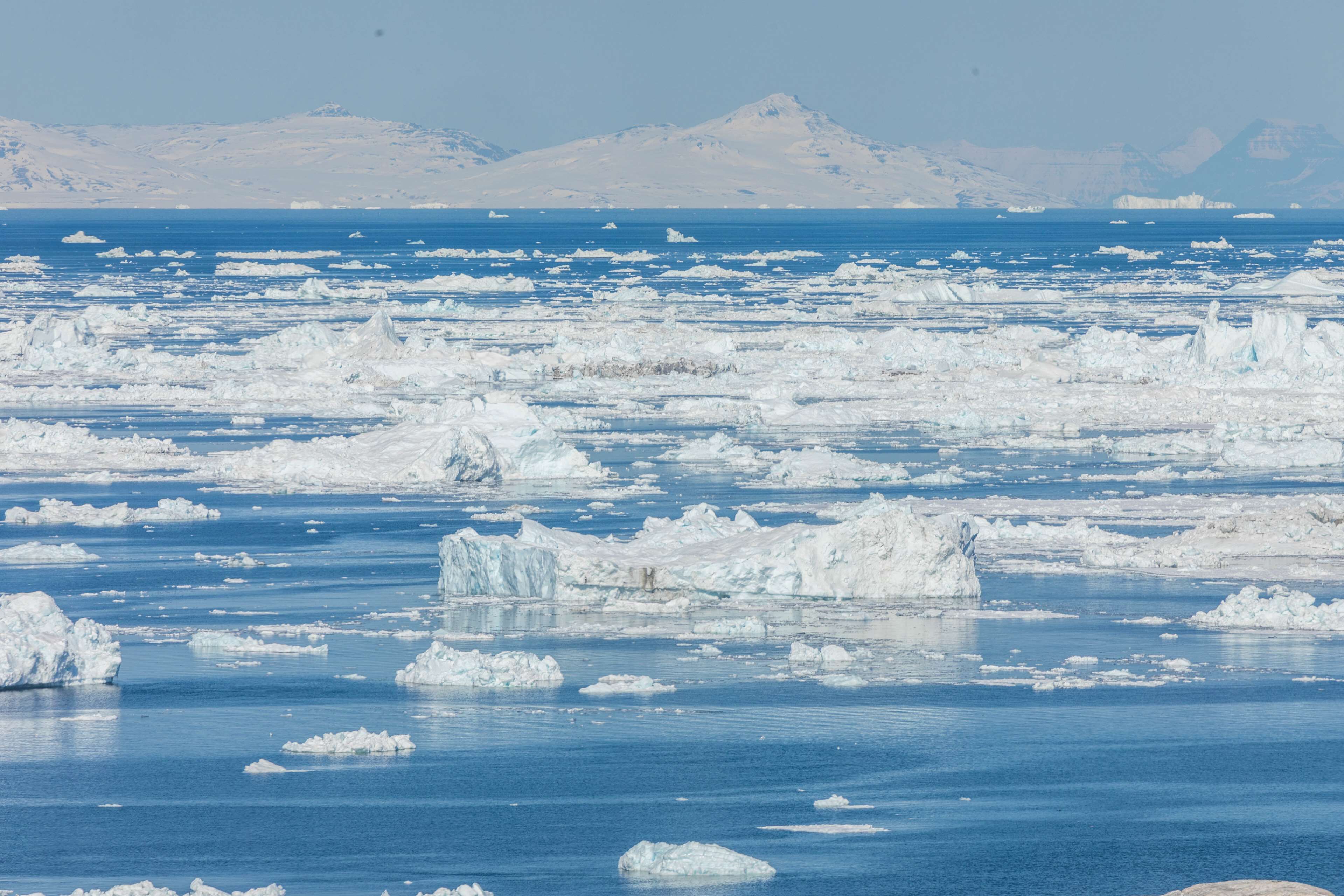 Una extensa extensión de icebergs flotando en un océano azul y frío, con montañas lejanas al fondo.