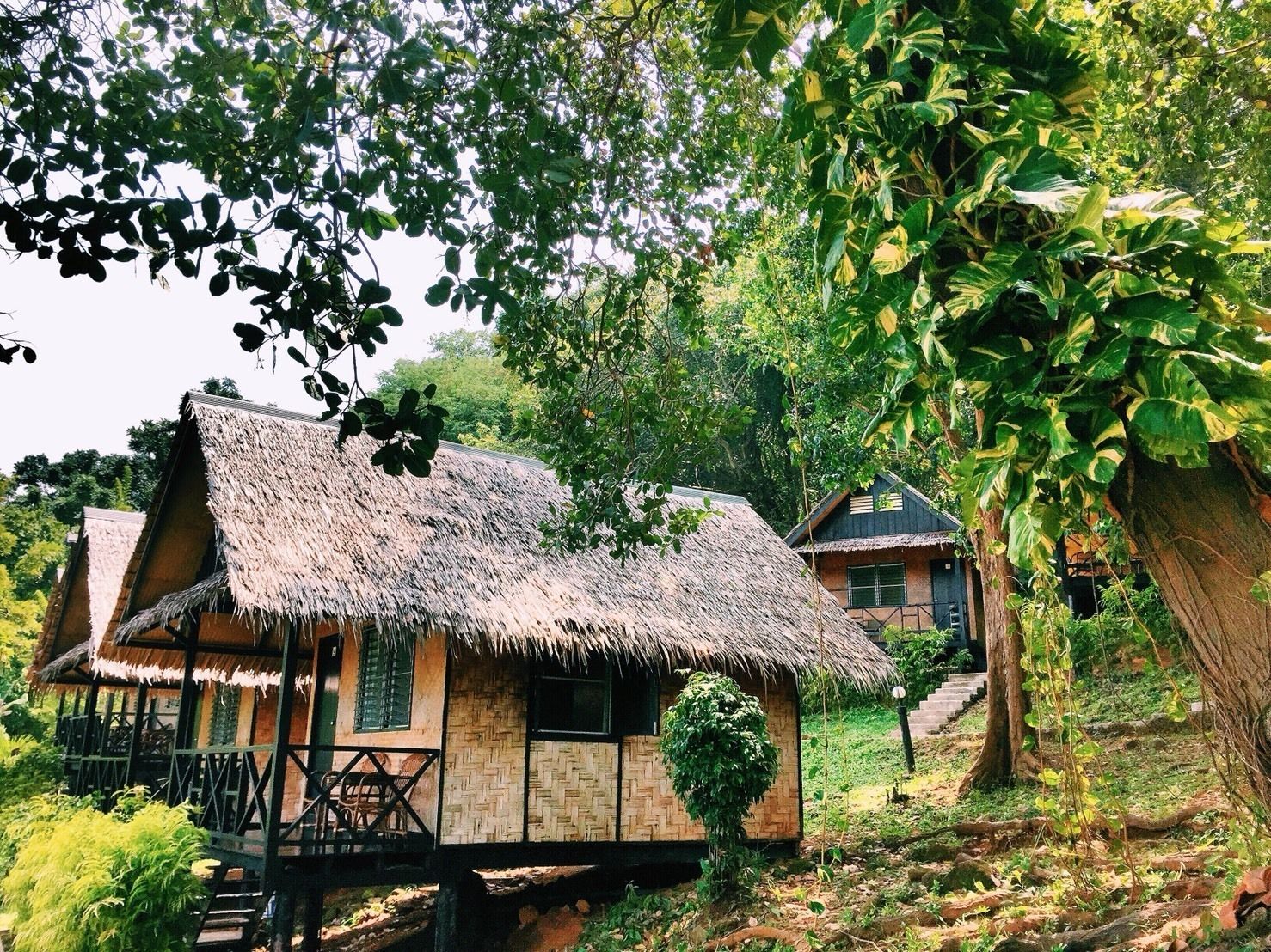 A thatched-roof house with a wooden exterior, surrounded by lush greenery and trees.