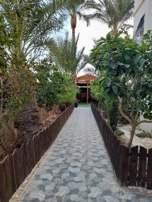 Un camí delimitat per tàvernes de fusta i plantes tropicals que condueix a un edifici amb un rètol en àrab.