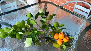 Utvendig detalj