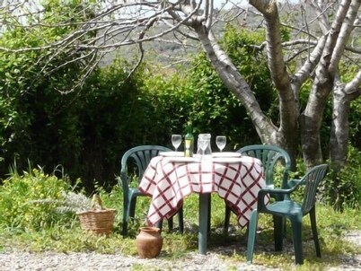 Rural apartment La Noguera for 17 people