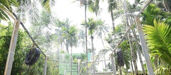 Dream Beach Family Resort
