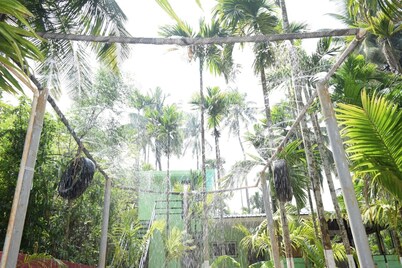 梦想海滩家庭度假村