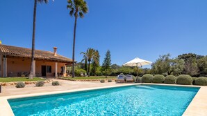 Ein rechteckiger Swimmingpool mit klarem, blauem Wasser, umgeben von einer Terrasse mit einer Ziegeldeckung, Palmen und einem gepflegten Rasen.