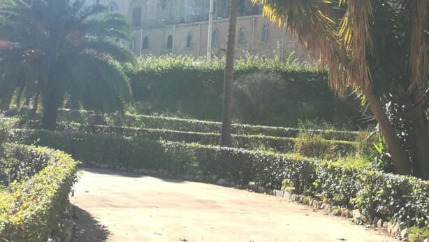 Un edificio con ventanas de arco y un patio con palmeras y setos.