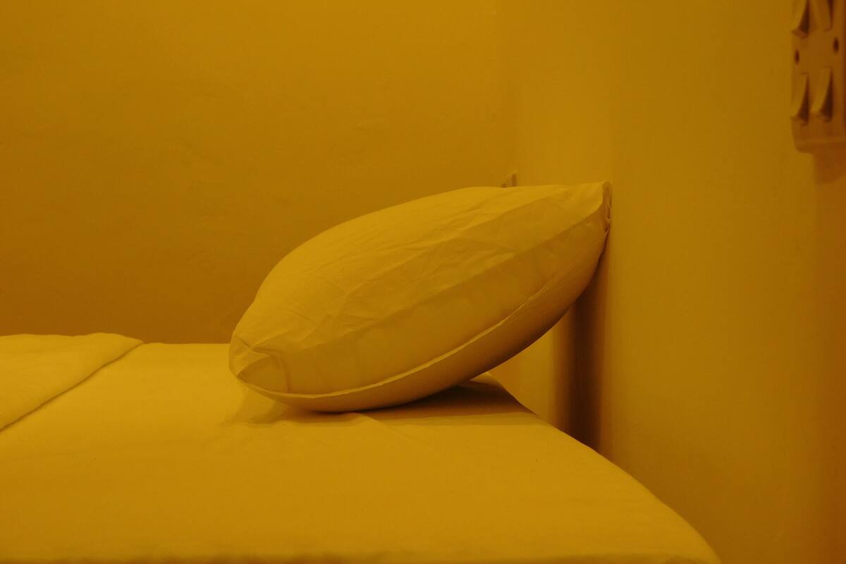 Chambre avec lits jumeaux | Bureau, Wi-Fi gratuit, draps fournis
